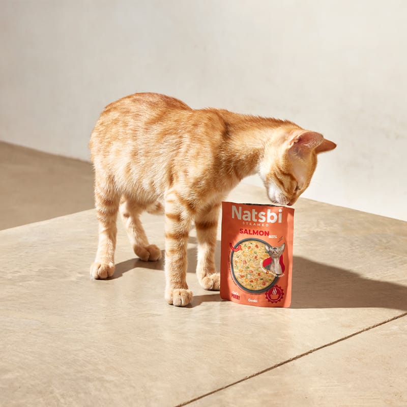Steamed Gravy Cat Salmon Steamed Gravy Cat Salmon